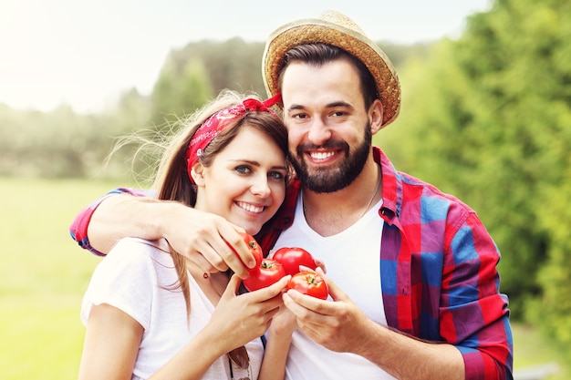 junges Paar pflanzt Bio-Tomaten