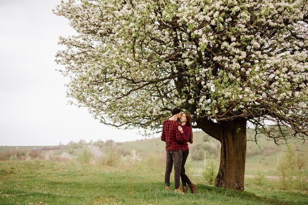 Junges romantisches Paar, das auf der Wiese und dem blühenden Baum spazieren geht und Spaß hat