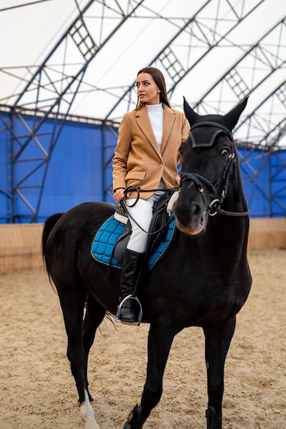 Junges schönes Brunettemädchen reitet auf einem Pferd Landschaftspferd mit weiblichem Modell