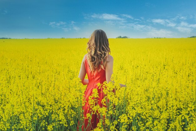 Junges schönes Mädchen in einem roten Kleid hautnah in der Mitte des gelben Feldes mit der Rettich-Blumen-Nahaufnahme.