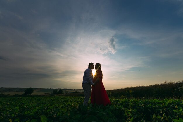 Junges schönes schwangeres Paar geht bei Sonnenuntergang auf dem Sommerfeld Hübscher bärtiger junger Mann, der seine hübsche schwangere Frau in rotem Kleid küsst