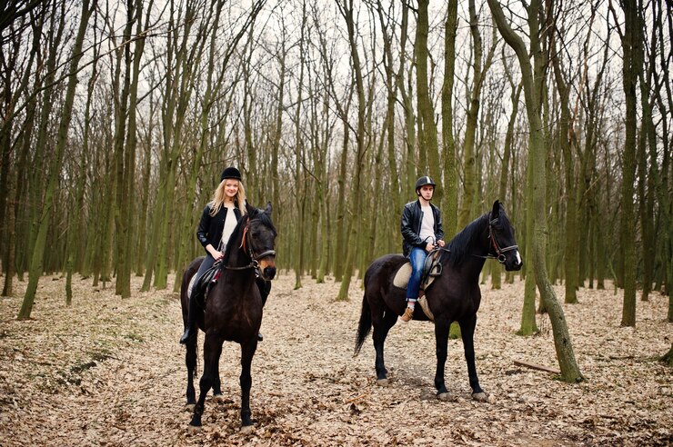 Junges stilvolles Paarreiten auf Pferden am Herbstwald