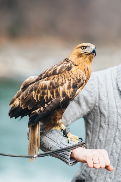 Junges verliebtes Paar an einem Gebirgsfluss in den Karpaten