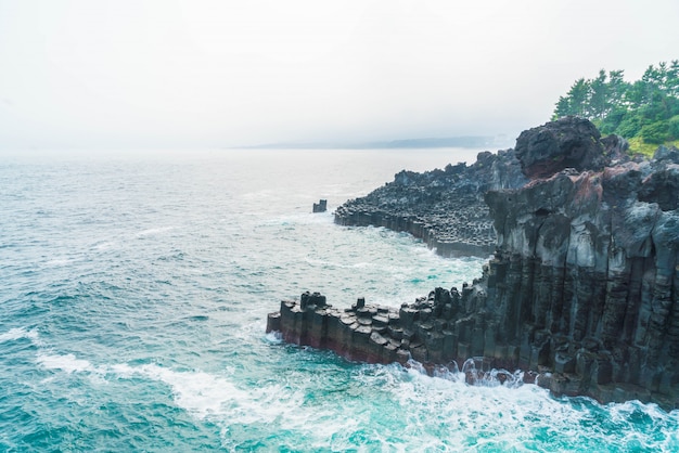 Jungmun daepo coast jusangjeolli cliff, ilha de jeju