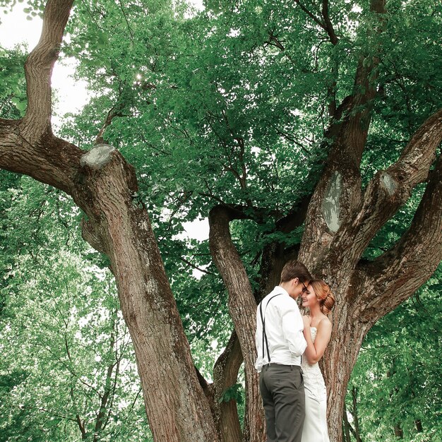Jungvermählten stehen in der Nähe eines großen sich ausbreitenden Baumes