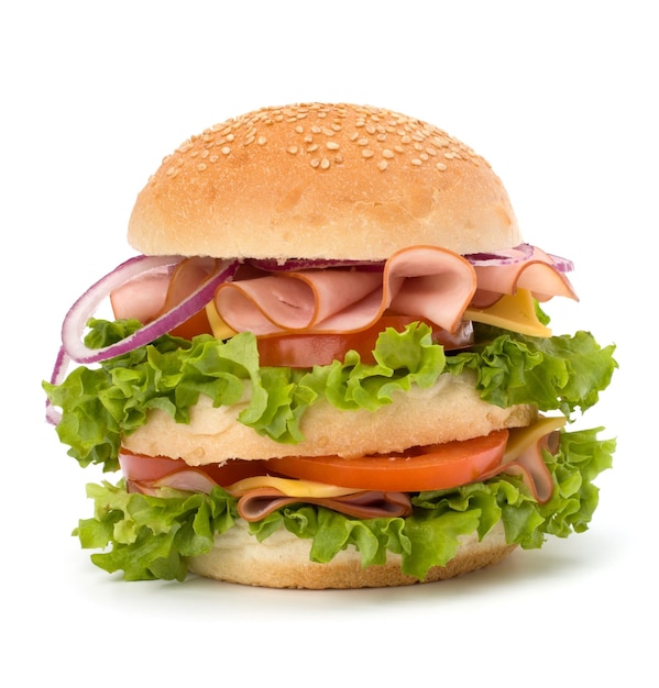 Junk-Food-Hamburger