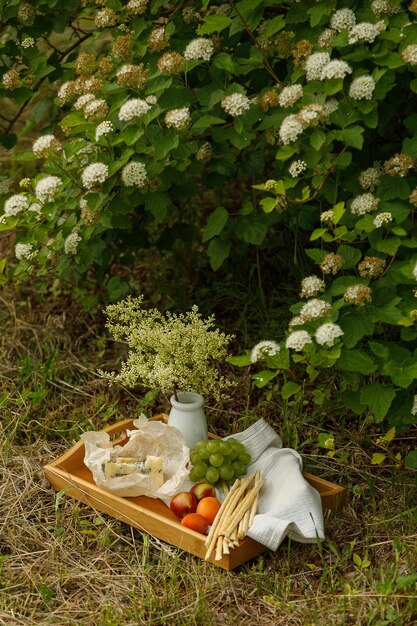 Junket de verano al aire libre Croissant de queso y bayas al aire libre