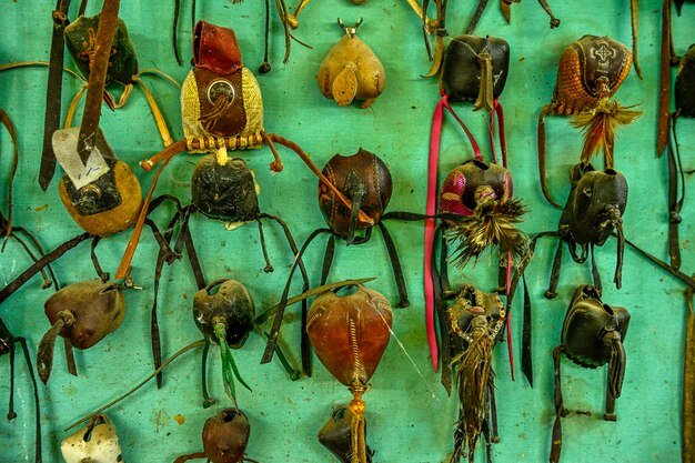 Junta de capotas o cascos para aves rapaces