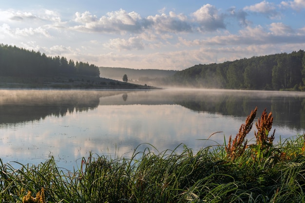 Junto al lago brumoso al amanecer en verano europeo