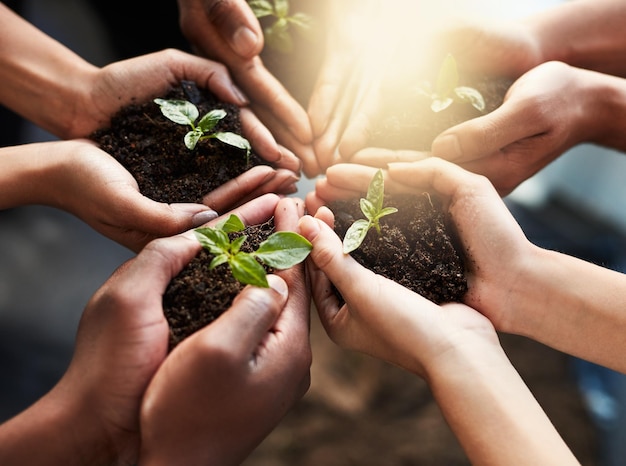 Juntos podemos salvar o amanhã Foto recortada de um grupo de pessoas irreconhecíveis segurando plantas crescendo no solo