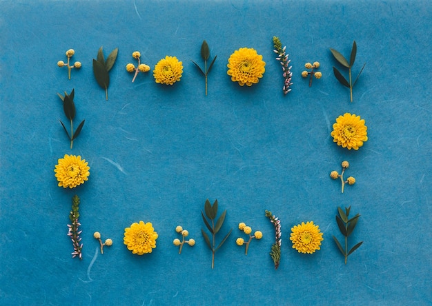 Justo por encima de la toma de flores amarillas con hojas sobre fondo azul