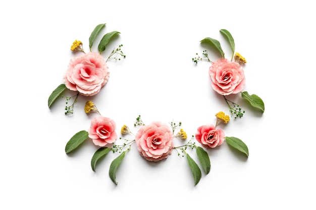 Justo por encima de la toma de flores y hojas sobre un fondo blanco