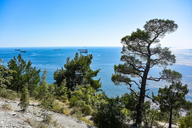 Kabardinka Krasnodar Krai Russland August 2019 Frachtschiffe im Schwarzen Meer Russland