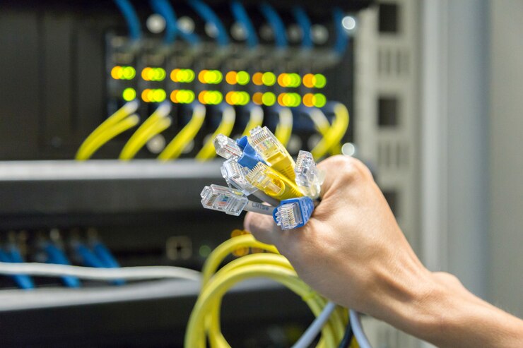 Foto kabel lan in der hand.