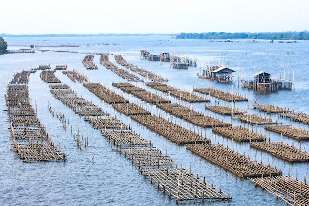 Käfig Aquakultur Landwirtschaft Thailand