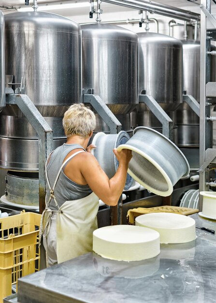 Käser, der jungen Gruyere de Comte-Käse in der Molkerei in der Franche Comte, Burgund, Frankreich, in die Formen bringt.