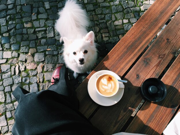 Foto kaffeebecher auf einem holztisch im freien