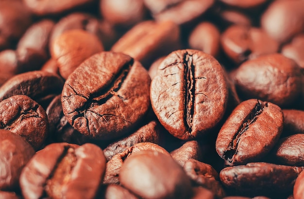 Kaffeebohne ein selektiver Fokus der Tasse Kaffee