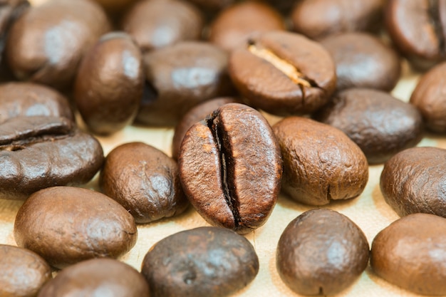 Kaffeebohne mit weißem Hintergrund