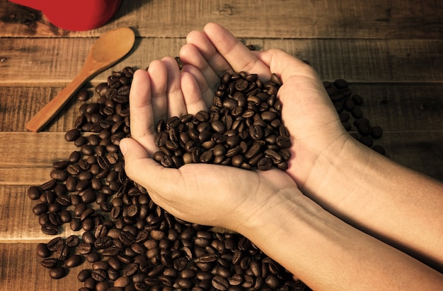 Kaffeebohnen in der Hand einer Frau zeigen Liebe