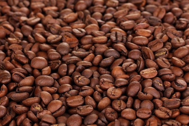Kaffeebohnen, Nahaufnahme