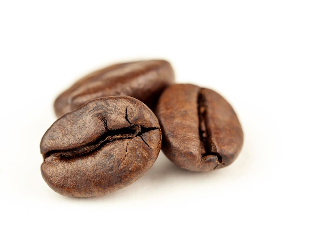 Kaffeebohnen sind Robusta auf weißem Hintergrund Robusta wird für seinen hohen Koffeingehalt gelobt