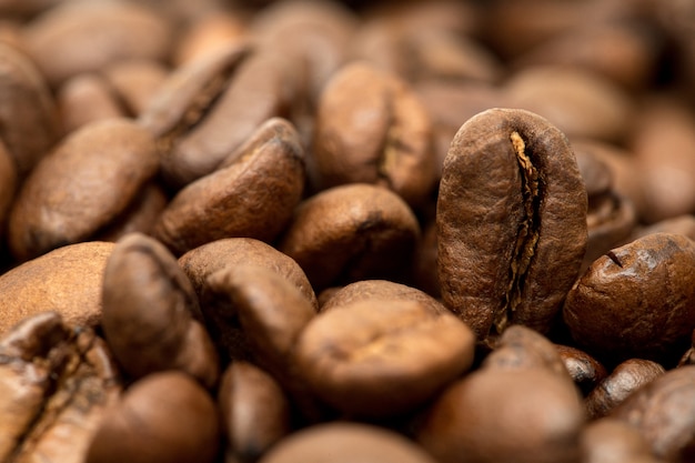 Kaffeebohnengruppe frisch geröstete Arabica