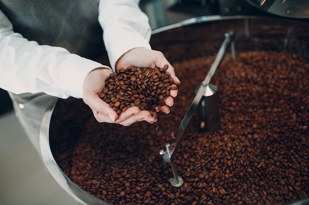 Kaffeekühlung in der Röstermaschine beim Kaffeeröstprozess junge Arbeiterin Barista, die Kaffeebohnen in Händen mischt und hält