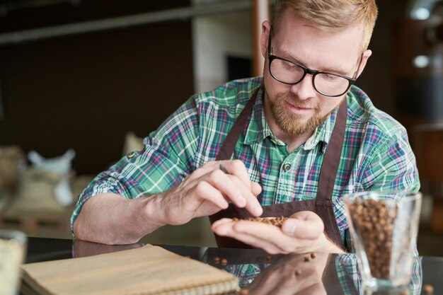 Kaffeeröster, der Bohnen untersucht