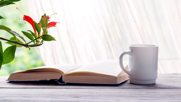 Kaffeetasse, Buch und Blumentöpfe am Fenster