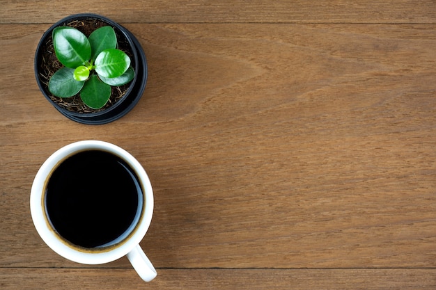 Kaffeetasse mit kleiner Pflanze auf Holztischhintergrund Draufsicht mit Kopienraum