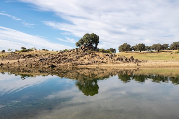 Kahle Bäume Reflexionen im Wasser an einer Lagune in der Ehrfurcht der spanischen Landschaft.Extremadura während des Sieges