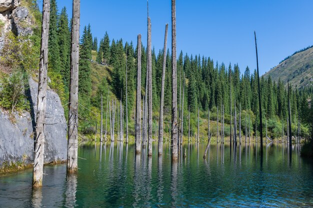 Kaindy See - Bergsee in Kasachstan