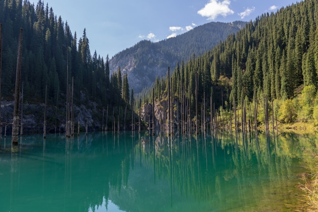 Kaindy See - Bergsee in Kasachstan