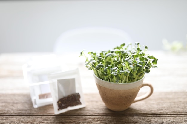 Foto kaiware brotó el brote de rábano daikon creciendo en una taza de café sobre una mesa de madera