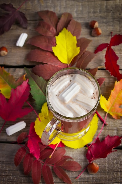 Kakao mit Eibisch auf des hellen Herbstlaubs