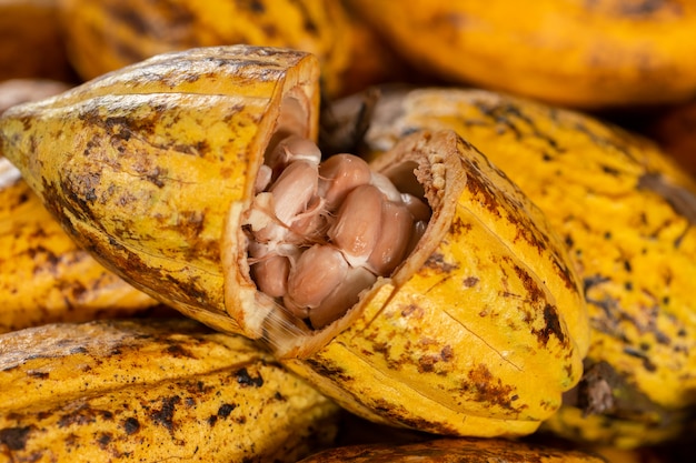 Kakaobohnen und Kakaofrucht auf einer Holzoberfläche
