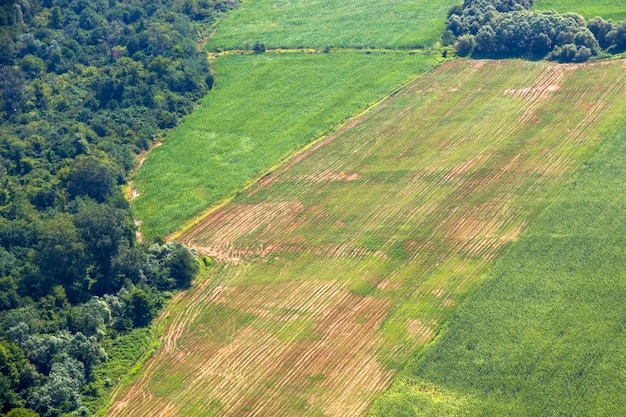 Kakheti vista e paisagem do helicóptero beleza da natureza georgiana