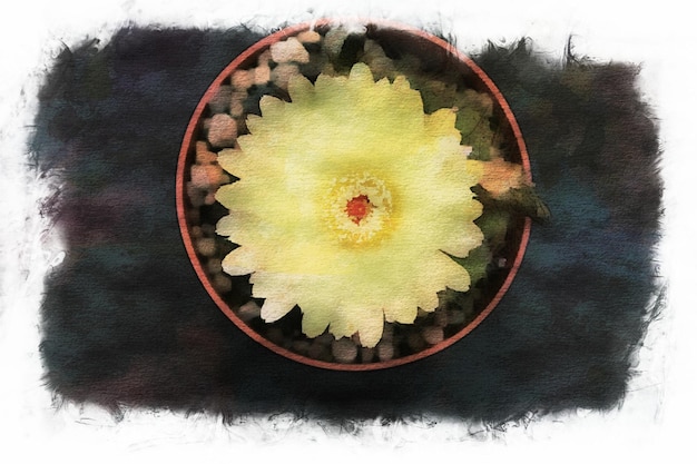 Kaktusblumen in Sammlung, Aquarellzeichnung