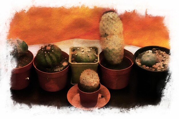 Kaktusblumen in Sammlung, Aquarellzeichnung