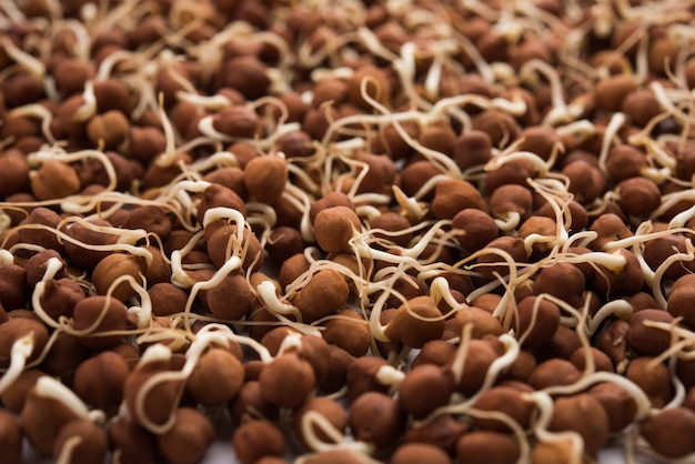 Kala Chana germinado o garbanzos negros o marrones: es un sustituto vegano de las proteínas ricas y tiene un alto contenido de enzimas vivas.