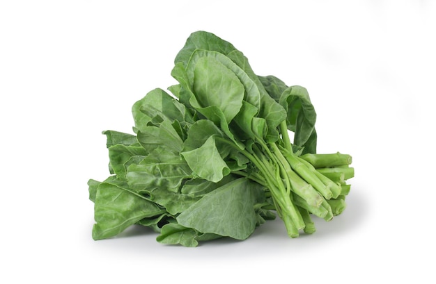 Kale chino aislado sobre fondo blanco, hojas verdes de patrón de coles