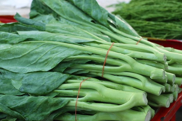 Kale en el mercado