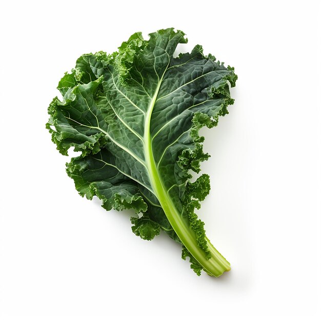 Kale rica en nutrientes sobre un lienzo blanco