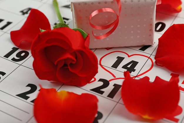 Kalender mit Datum vom 14. Februar Geschenkbox und Rosenblüten Valentinstag Konzept