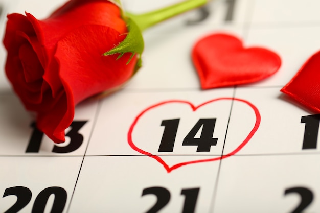 Kalender mit Datum vom 14. Februar und Rosenblüte. Valentinstag Konzept