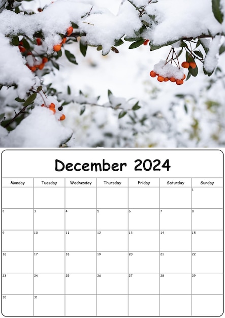 Kalender mit Naturbildern für Dezember 2024