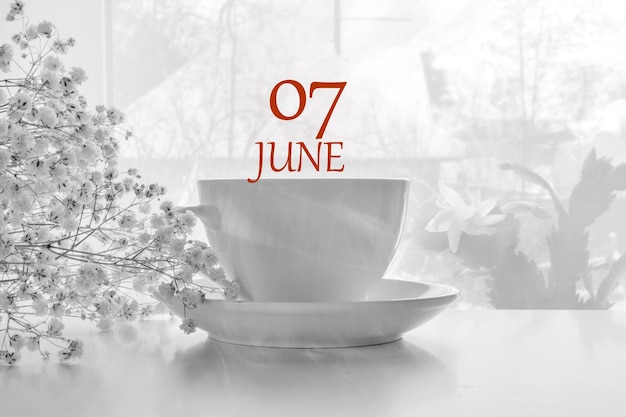 Kalenderdatum heller Hintergrund mit weißem Teepaar aus Porzellan und weißem Gypsophila, 7. Juni, siebter Tag