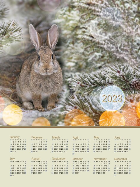 Kalendervorlage mit Kaninchen