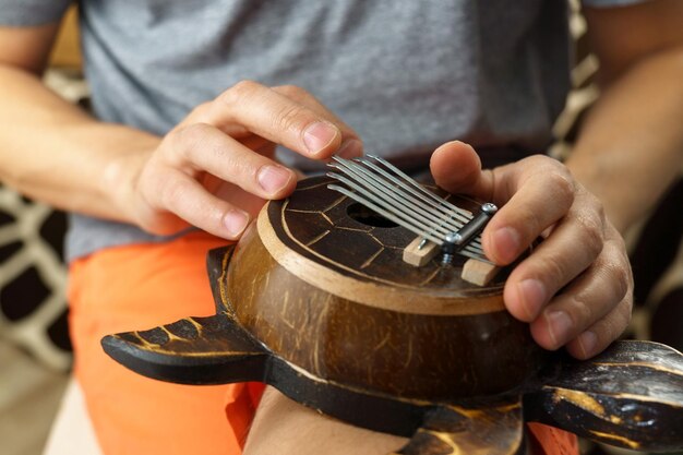 Kalimba tartaruga instrumento musical tradicional Música folclórica ou conceito de música meditativa Foco seletivo